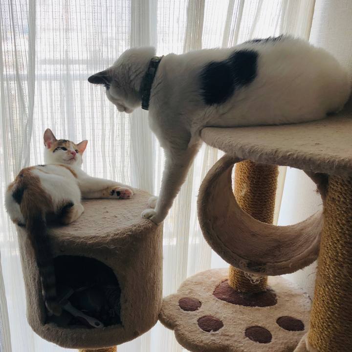 B6a5c9e8 1dbd 4cdb b853 7bb9916b3d9f 1565311167773