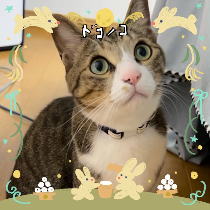 B6a60e52 bf37 4c3e 88c5 991493cde79a 1726891976119