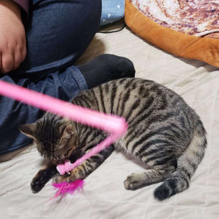 B6a63301 465a 4334 bb33 7975c873a04a 1543541871706