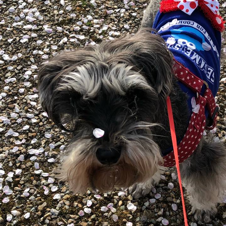 B6a66b7f 0811 4f73 a88e 965454a0bf1d 1555204096405