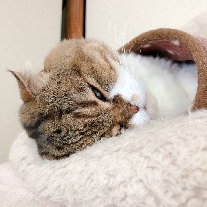 B6a68c2c a3f4 4da8 a30a 4c03d9107499 1581247701750