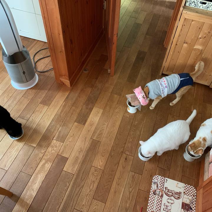 B6a69bc0 f5d8 4ece aaf2 bfdd5f010f06 1629259039738