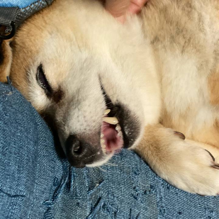 B6a6c31c 10cb 4383 8a33 a629c3b65ece 1660306843798