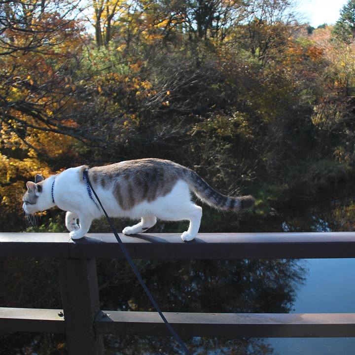 B6a6e839 2308 4858 9b36 cc36a17dcc63 1643160995943