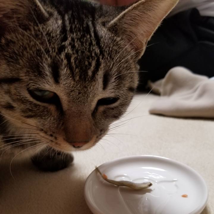 B6a71418 5d37 44f1 8ebf ac3ccaa1bbc0 1673653889596