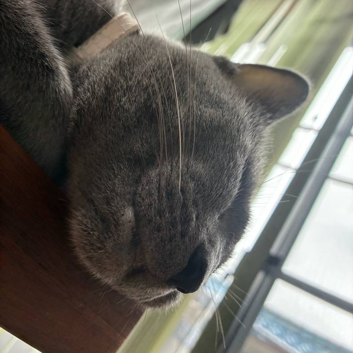 B6a7ec82 8ab2 43d1 b26c 47a53c0e605b 1754805238871