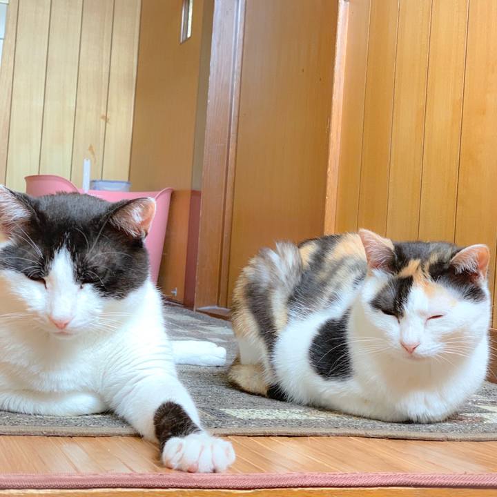 B6a8002f 3107 415c 82c4 72236be74576 1561084165922