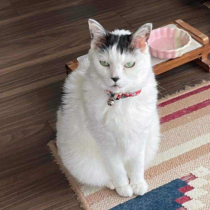 B6a82382 dbc0 4bc2 aebe 870f2b263a05 1716161700265