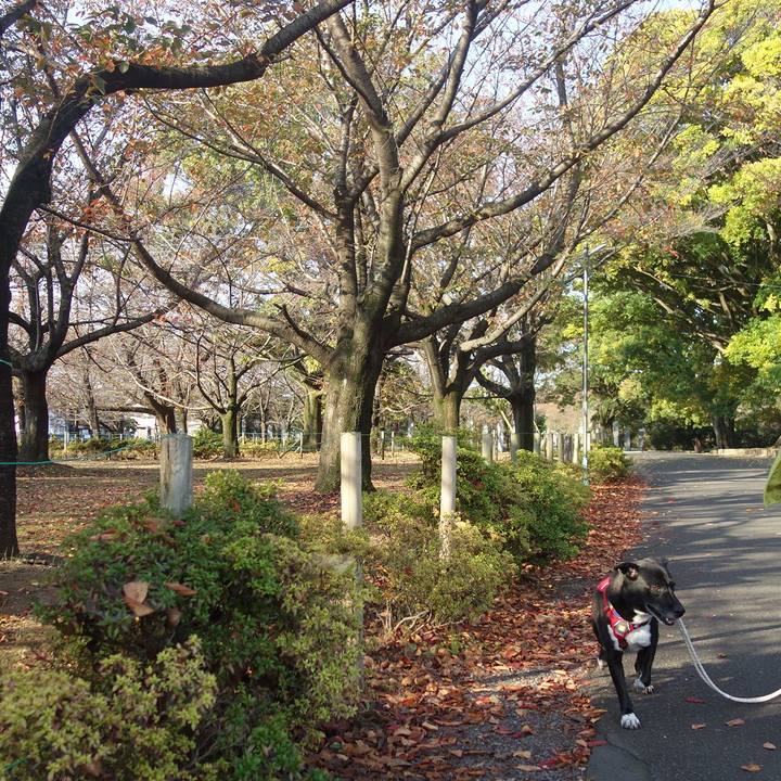 B6a830cc 102c 4455 837e 34334ecd228e 1667954123128