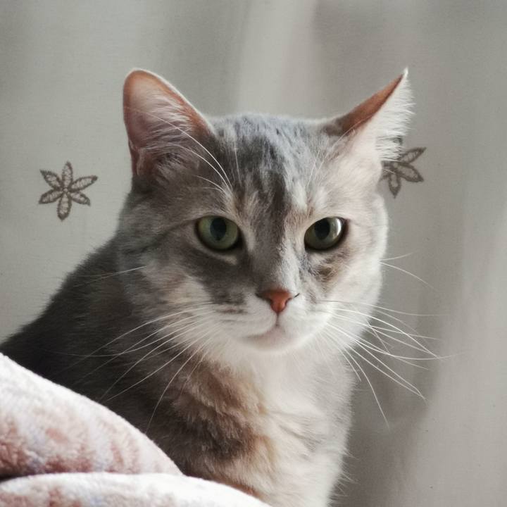 B6a83d3f 3c1e 4237 b974 67372f3c456d 1621134712079