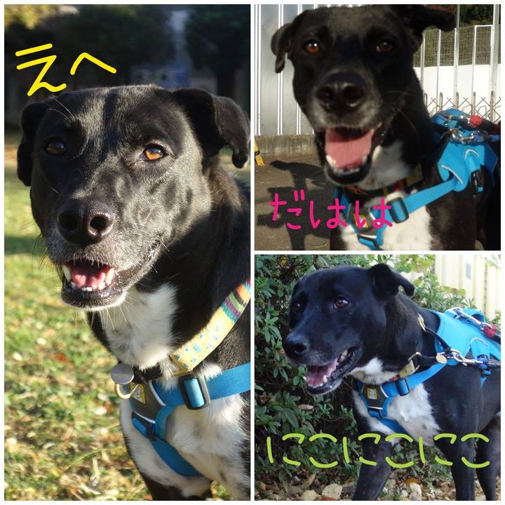 B6a851c9 53da 4095 a1b7 0e353e93e809 1605312269347