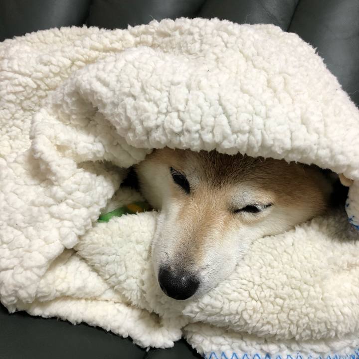 B6a8b798 a3dc 4ace 8778 daf9d5c684ea 1573370232037