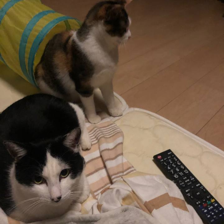 B6a8c177 5357 45f0 be18 9fba5e262cfe 1578672553958