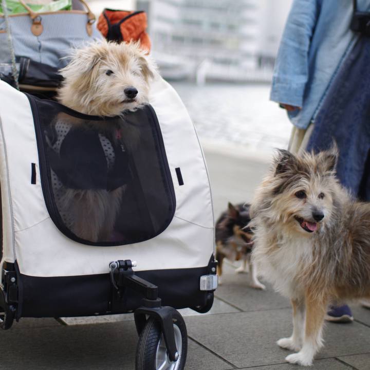 B6a8ec34 5346 4737 9371 e1c847e6f49b 1650843149416