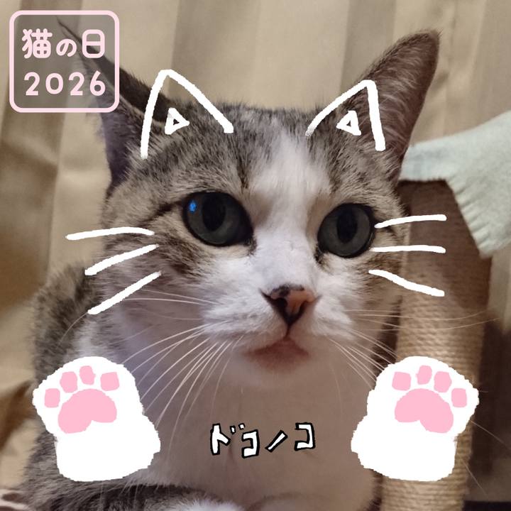 B6a8f028 1e48 48c2 8c27 fcfd60c0e492 1771718258461