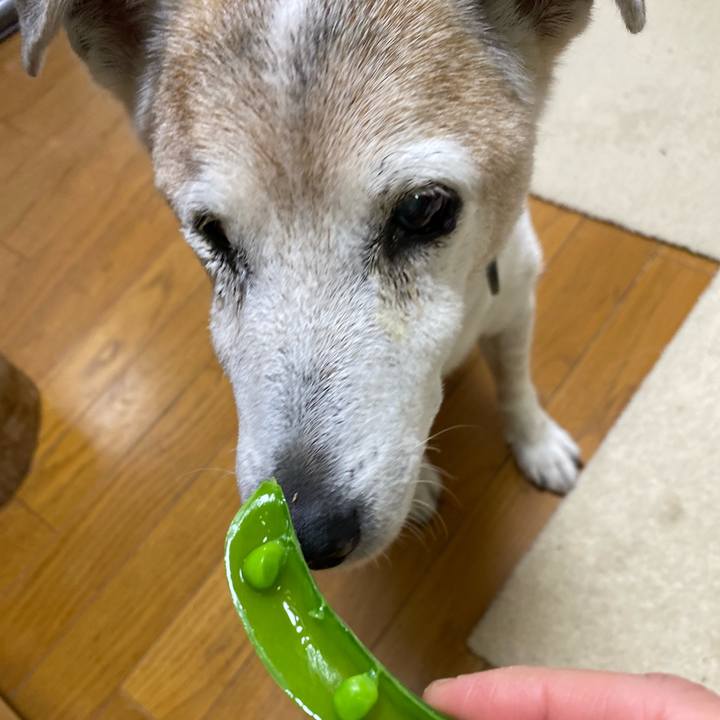 B6a8f8c6 1e10 4a1b ad49 1214b93bff15 1715517688478