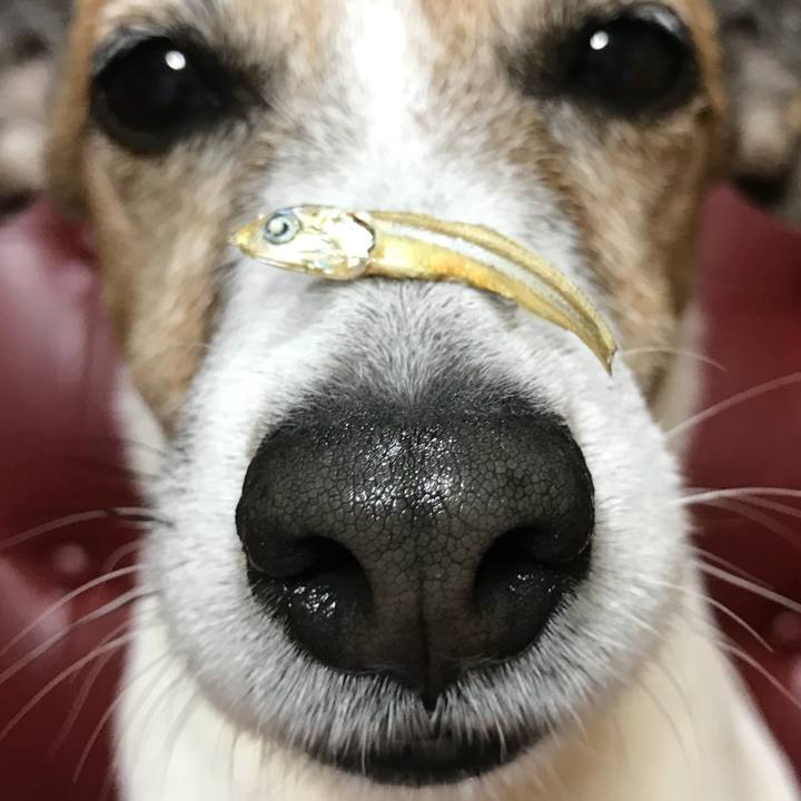 B6a8fdbc 2fba 426e a5be 72dfdb166b14 1523626499892