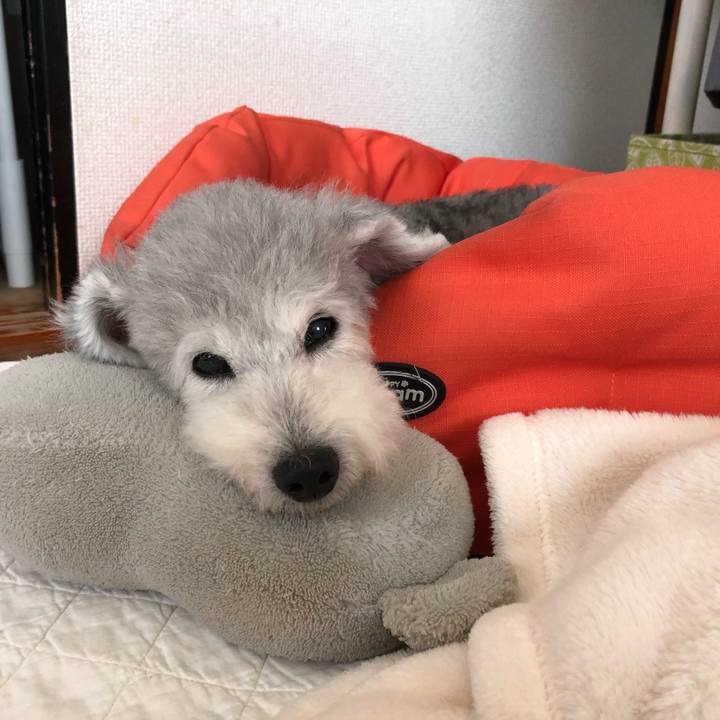 B6a91b28 6567 4b99 870d e336ec4fcd87 1565651095341