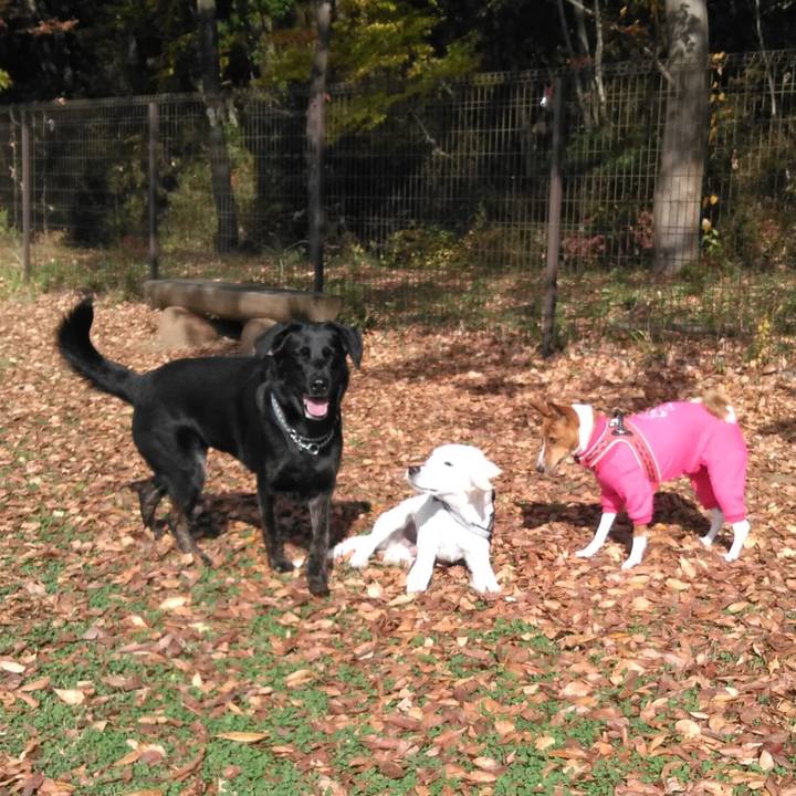 B6a91dcb ac8b 41b0 9b0d 2c46f976f937 1543121655993