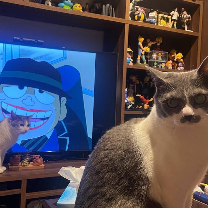 B6a99e2f 279f 4fae b6ee e5ec209eacb5 1625232594652