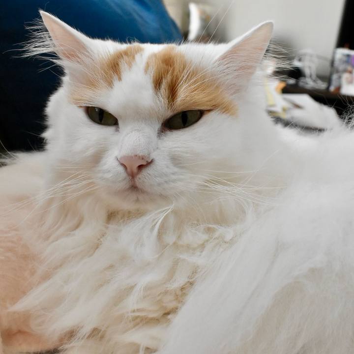 B6a9d5a2 f9f0 4d4e becb 01506d4f935b 1774065054069