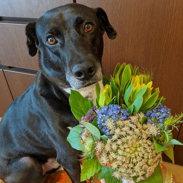 B6a9dfe4 8b08 4eaf 8cd4 164a0bd67881 1654772408059