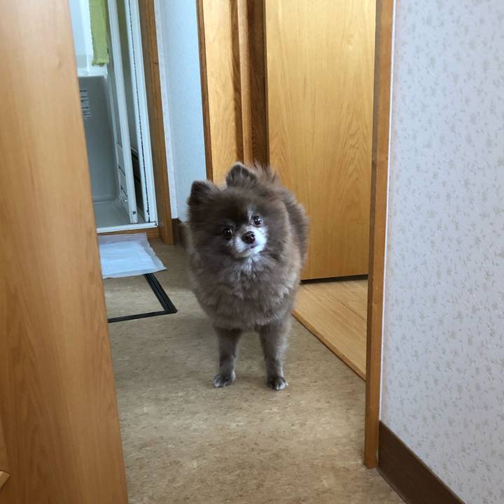 B6a9ed38 3203 4853 86d7 f4f4eb704c7c 1554965555525