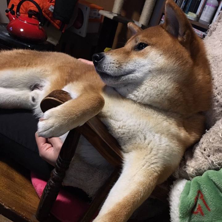 B6aa622d c91f 49d3 ad8c 0c51736753b6 1516745072144