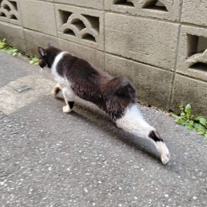 B6aa7da7 afa3 4bc8 b086 b453b77e3055 1710851906049