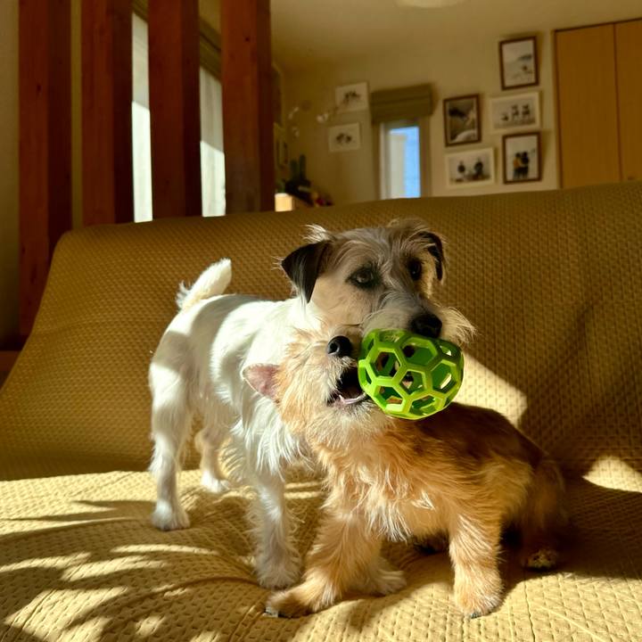 B6aa8030 f182 42f2 9c32 23c3bb53361d 1706216889852