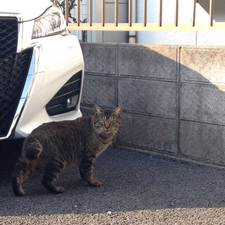 B6aa86f3 a5d5 4bc1 88c7 44aacda4ee5d 1509809854687