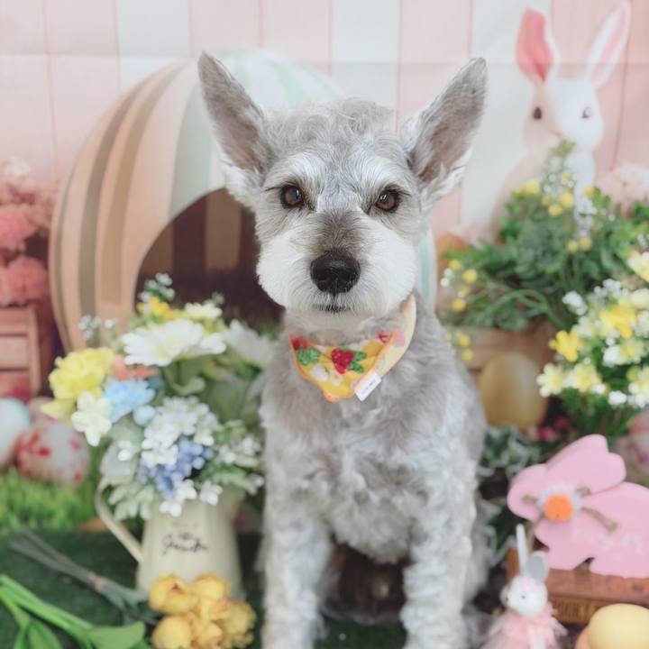 B6ab0f8e ab7e 4345 ae9e 7780c7d693df 1774506065985