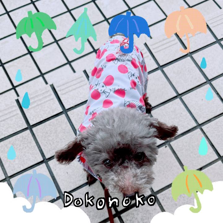 B6ab540c 086d 45a2 8a85 a605ae35e9b0 1717897387729