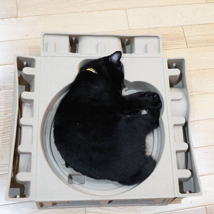 B6ab8e59 a012 4cf2 a25d 272b7355fd84 1570525489553