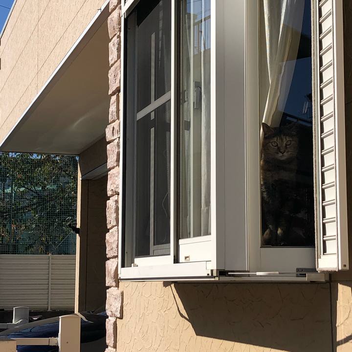 B6ab9083 8a95 4db7 b8d4 47978270df37 1604631510324