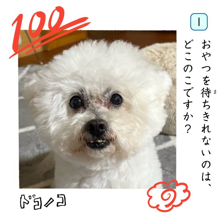 B6ab99c0 2416 4aa0 9afd c38ec97ed2ed 1744285211547