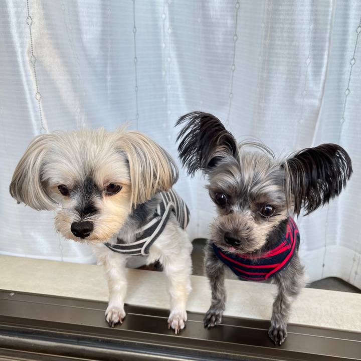 B6ab9a74 e12b 4d3f bf0e 57b136c2c177 1762476112487