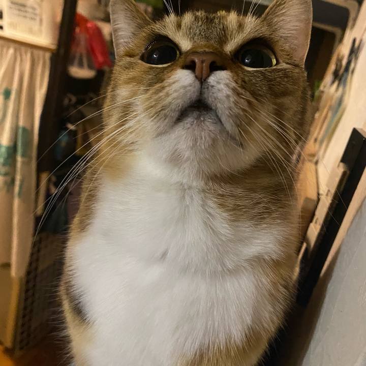 B6aba437 971e 4588 9dff 720c6ce4a081 1644679378003