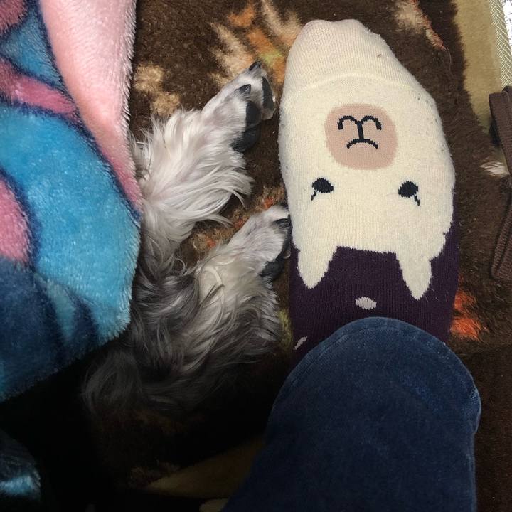 B6abc6aa 1adb 4269 8c0b d9dd2943d82b 1550923429249