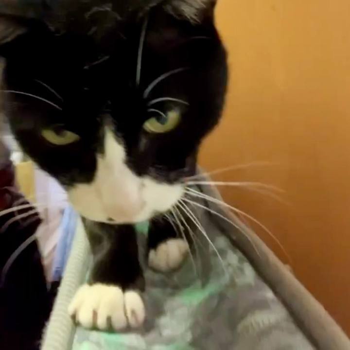 B6abcb04 64d4 42b6 8f61 f3a17851e376 1729826617475