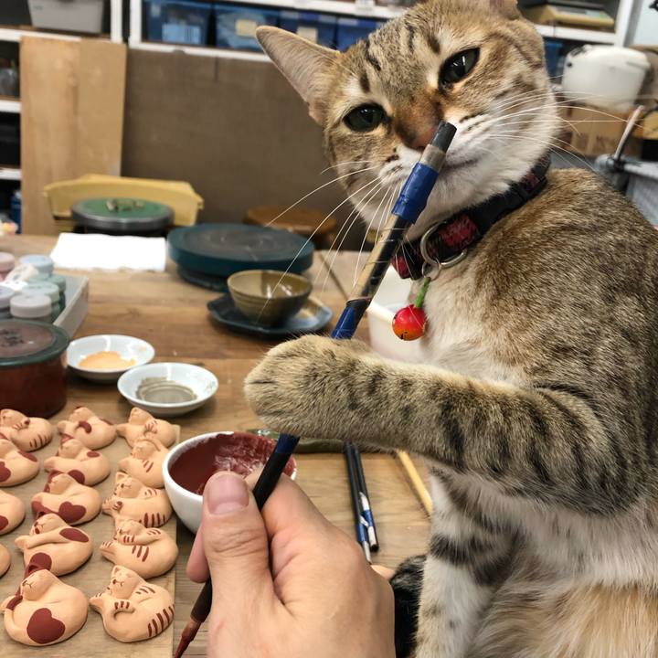 B6abd092 e90f 4cd9 a204 dbf907b85350 1614255997196