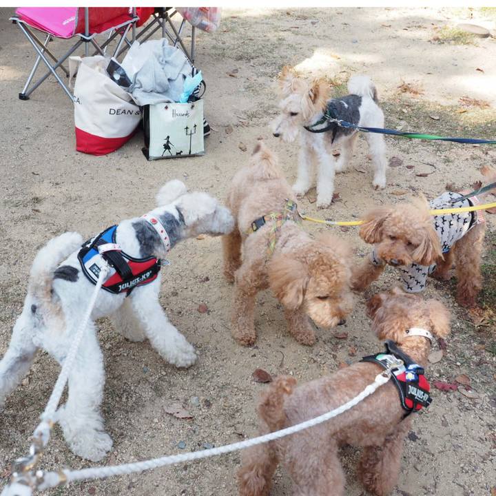 B6abe2f7 9c5e 447e b567 414505270371 1542373729587