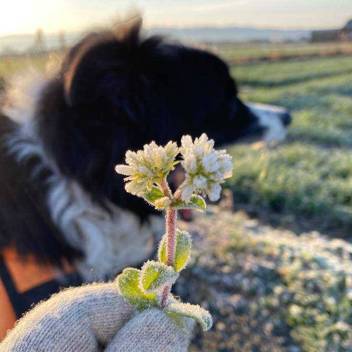 B6ac4be4 adb4 491a 9add 8ca15c501aa2 1612911945292