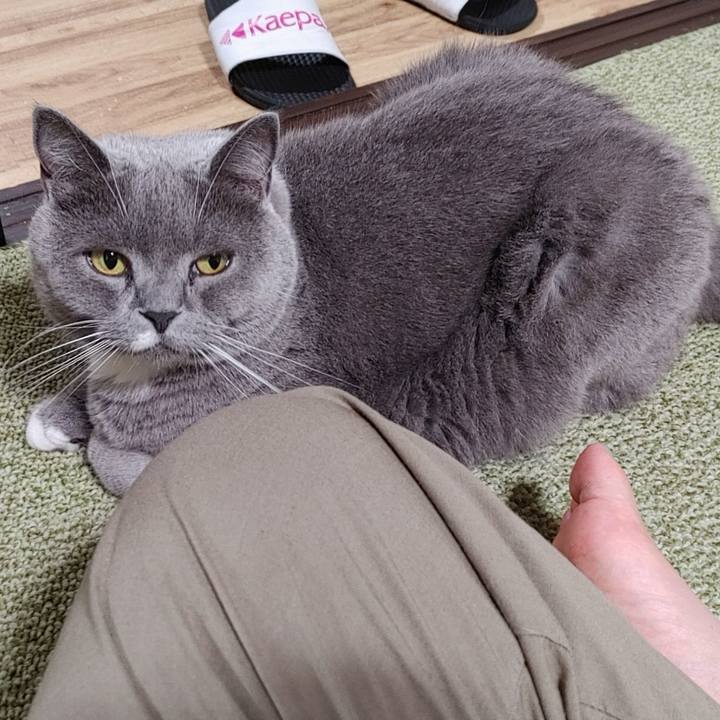 B6ac5d50 7cbd 4b9f a0c3 581cda6a5482 1656846986955