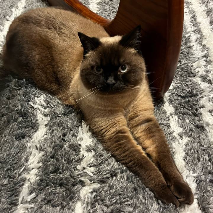 B6ac7a63 1036 4d6c 92c2 18289ddf369c 1680606242285