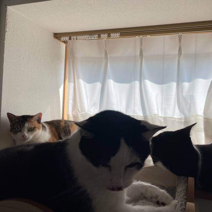 B6acb715 304a 4d02 be16 9350bc4c99e3 1719990306333