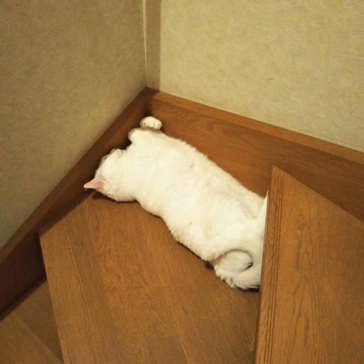 B6acc92f 3b84 4195 95de 6542b2840113 1593790640348