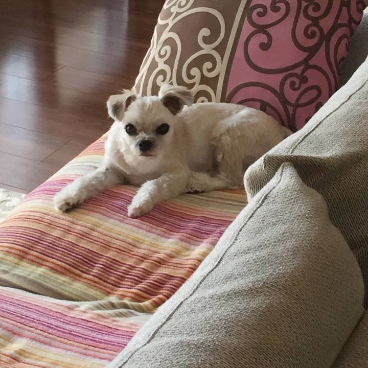 B6acd2a9 d178 47b7 907c 1c1e55832f7e 1546335657962