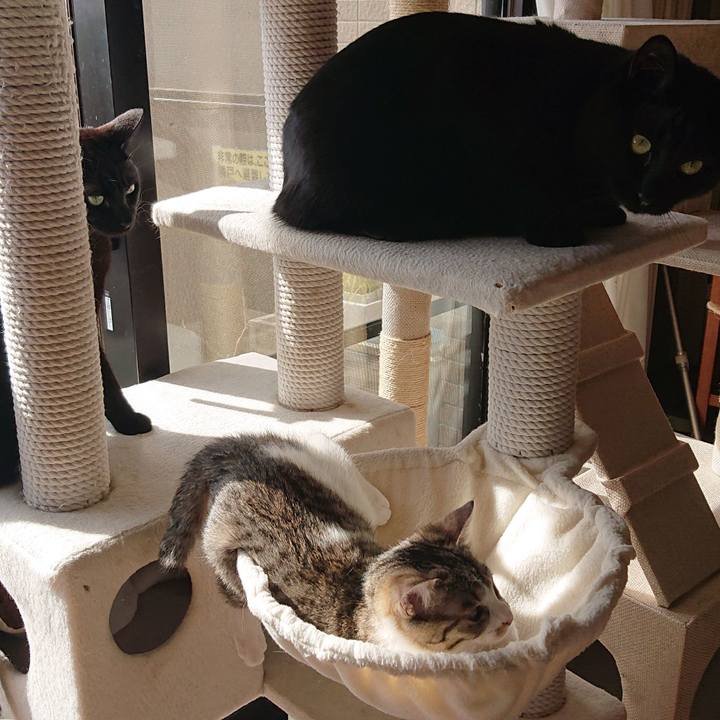 B6ad068d fc3f 4ce8 81b3 675cd4b4f3d9 1548472209598