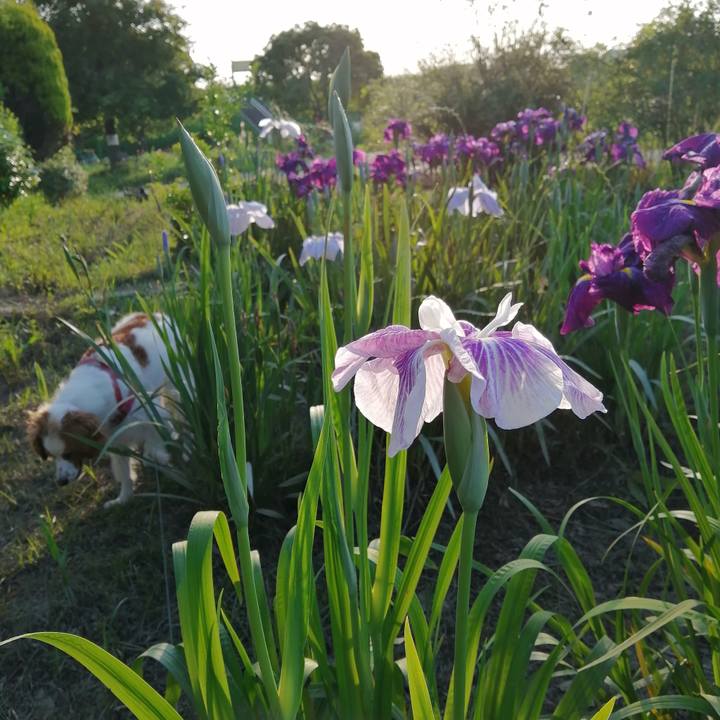 B6ad1529 0235 42c7 b4bf 21610b1945d9 1622545105887